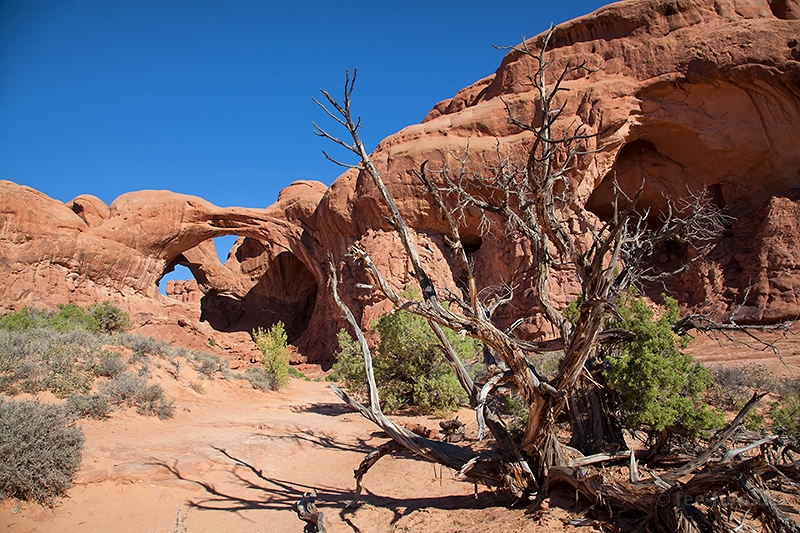 Unterwegs zur Double Arch
